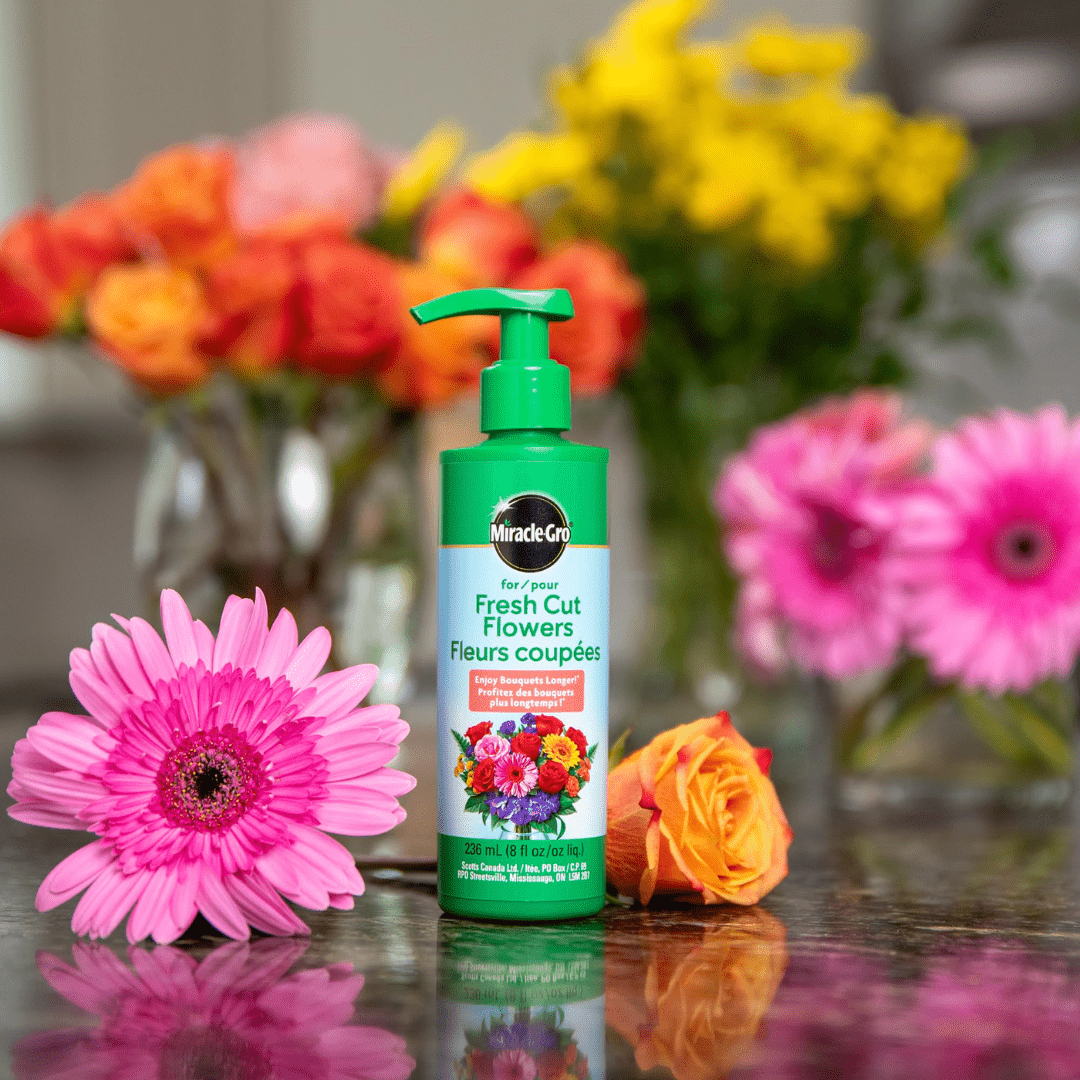 Miracle-Gro® for Fresh Cut Flowers 236ml | 8oz - Ritchie Feed
