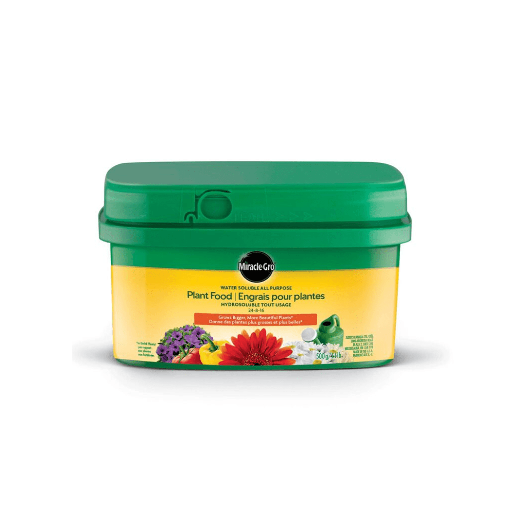 miracle grow flower seeds Miracle-Gro® Water Soluble All Purpose Plant Food 24-08-16 500g
