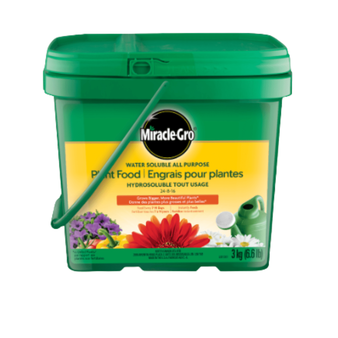 Miracle-Gro Water Soluble All Purpose Plant Food, 3 kg