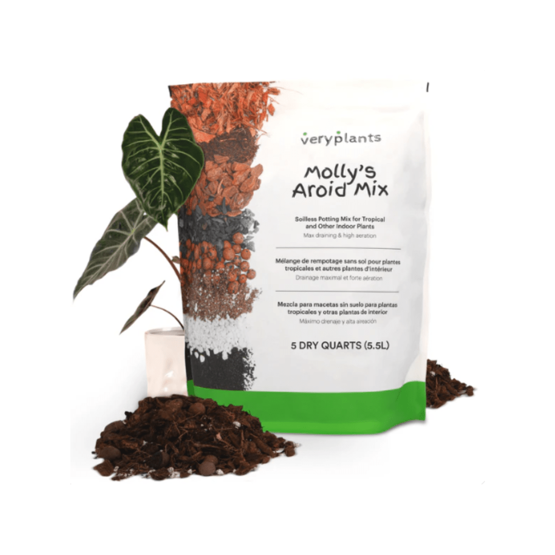 Molly's Aroid Mix - Premium Tropical Plant Soilless Potting Mix ...