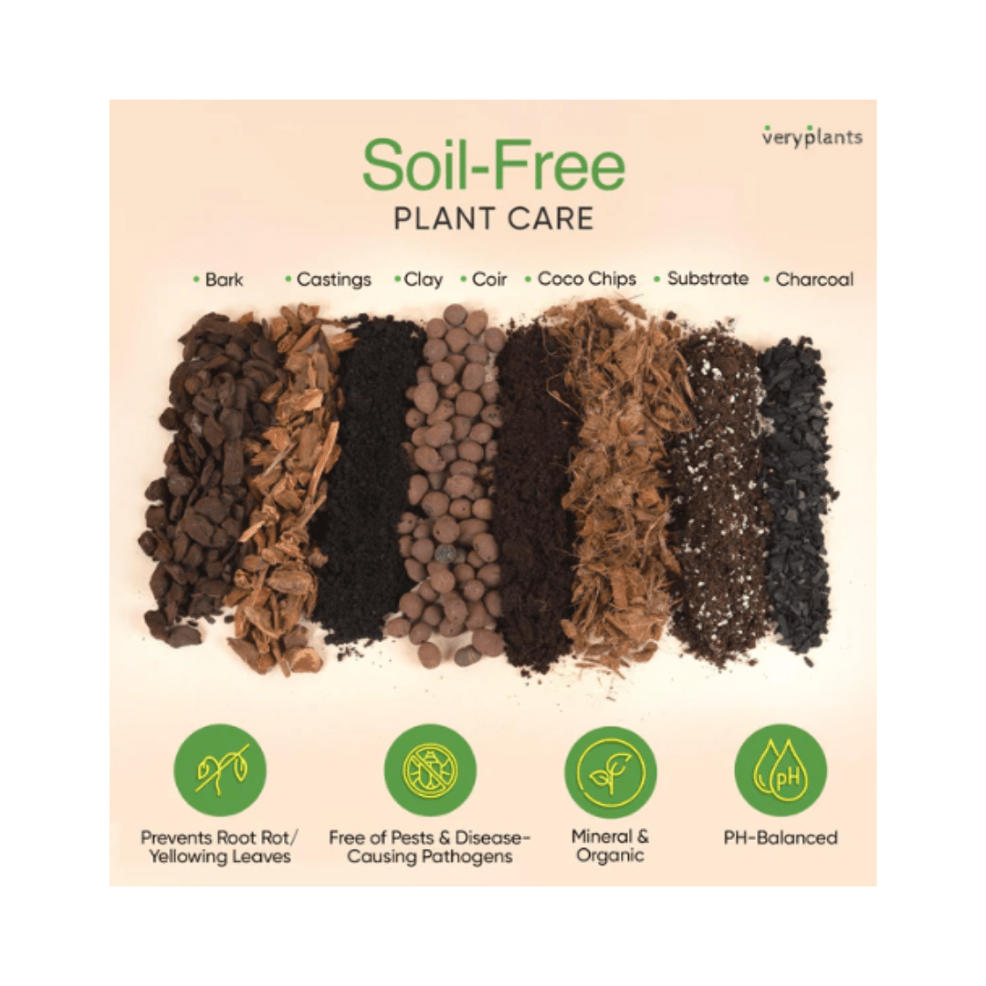 Molly's Aroid Mix - Premium Tropical Plant Soilless Potting Mix ...