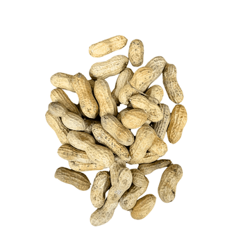 Peanuts In Shell [3 sizes]