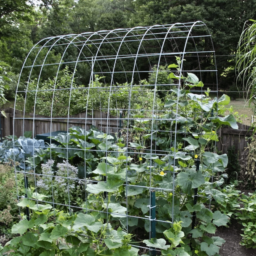 Range Master UTILITY WELDED WIRE FENCE 14GA | 6 SIZES - Ritchie