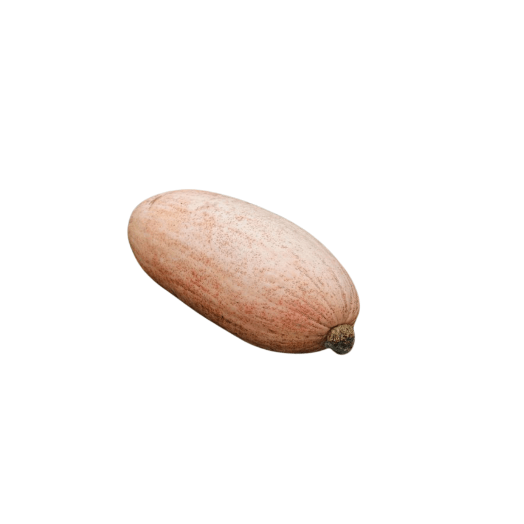 Squash Winter Jumbo Pink Banana Seeds | OSC Seeds - Ritchie Feed & Seed ...