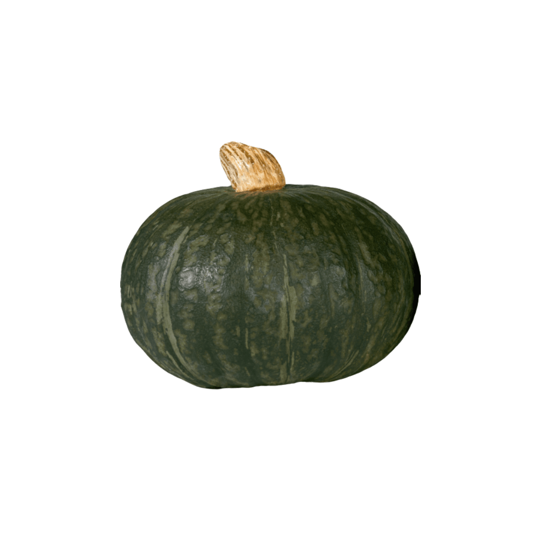 Squash Winter Kurihomare Kabocha Seeds | OSC Seeds - Ritchie Feed ...