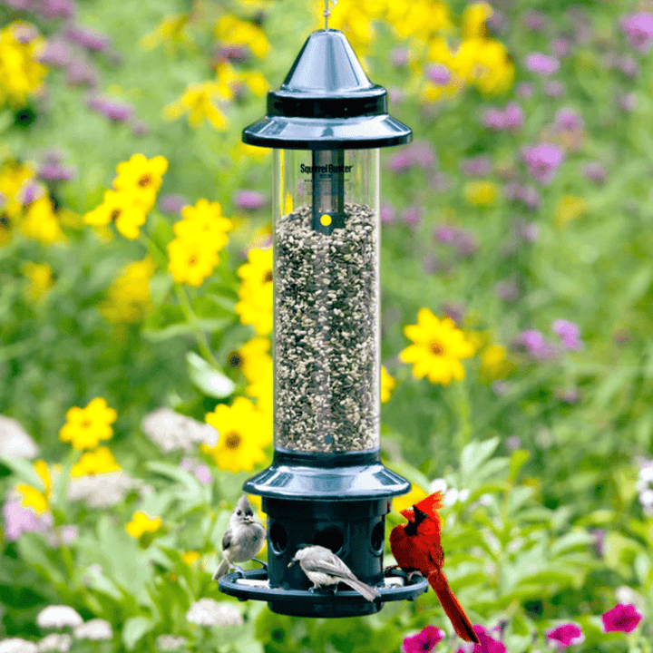 Is There a Bird Feeder That is Squirrel Proof? Top Picks!