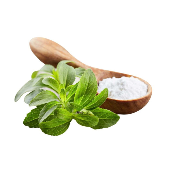stevia sugar plant seeds Stevia Sugar Plant Certified Organic Seeds | West Coast Seeds