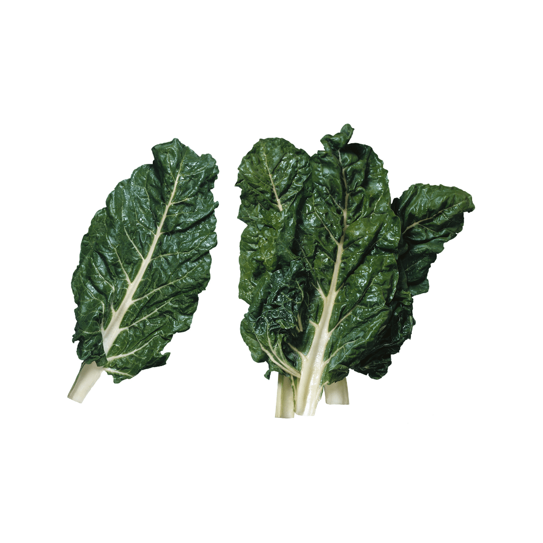 Swiss Chard Costa Verde Argentata 3 Seeds Weston Seeds Ritchie Feed
