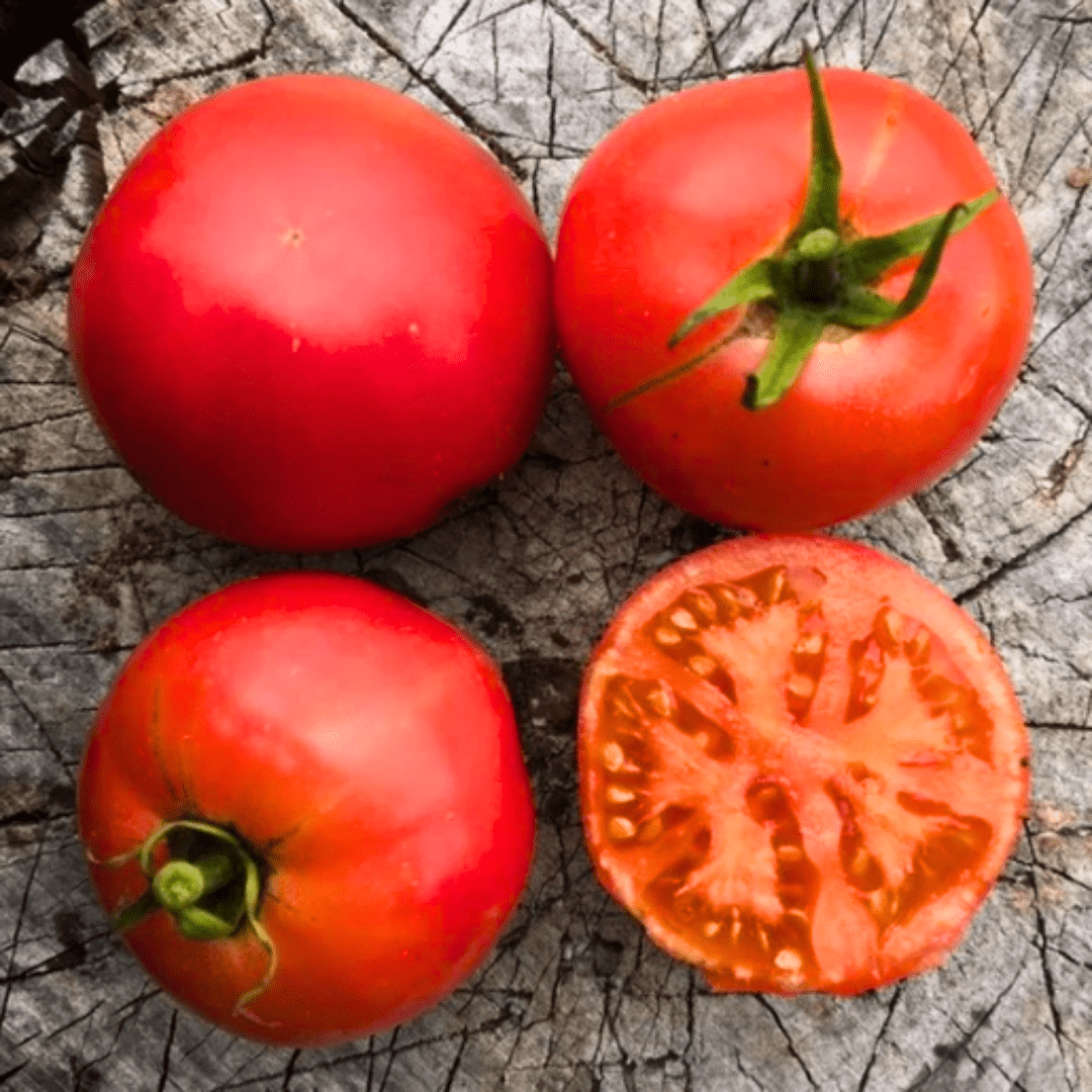 rose de berne tomato seeds Tomato Rose de Berne Seeds | Northern Seeds