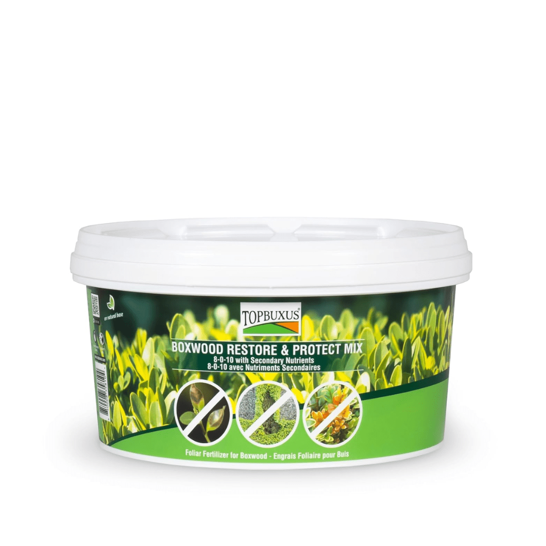 fertilizer for boxwood plants TOPBUXUS® Boxwood Restore & Protect Mix 40 tablets for 400m2