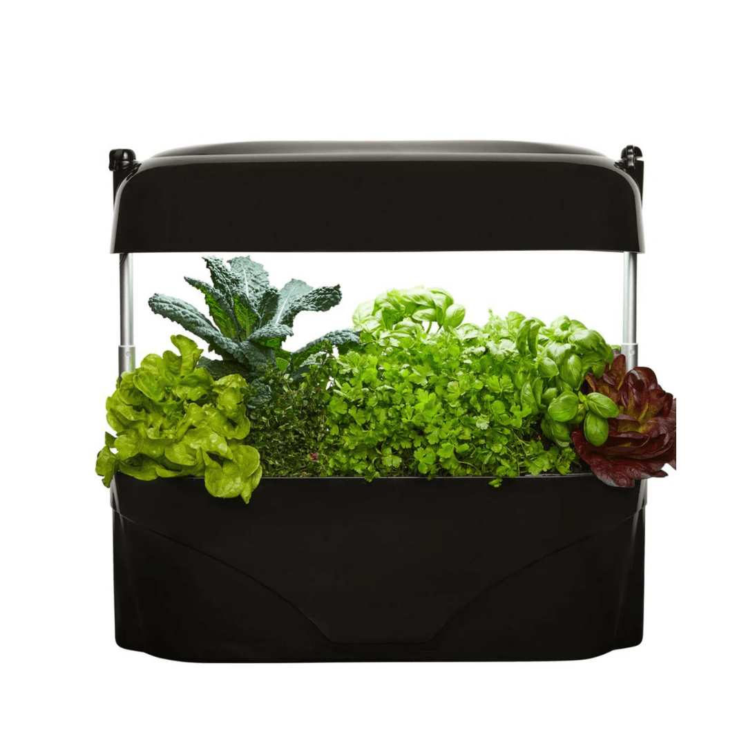 vegepod premium potting mix Vegepod Kitchen Garden Black