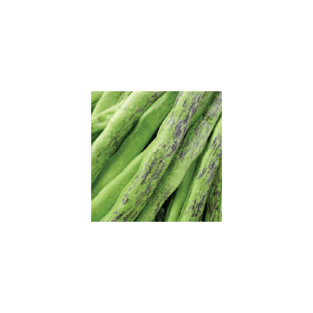 Bean Rattlesnake Pole Seeds | OSC Seeds - Ritchie Feed & Seed Inc.