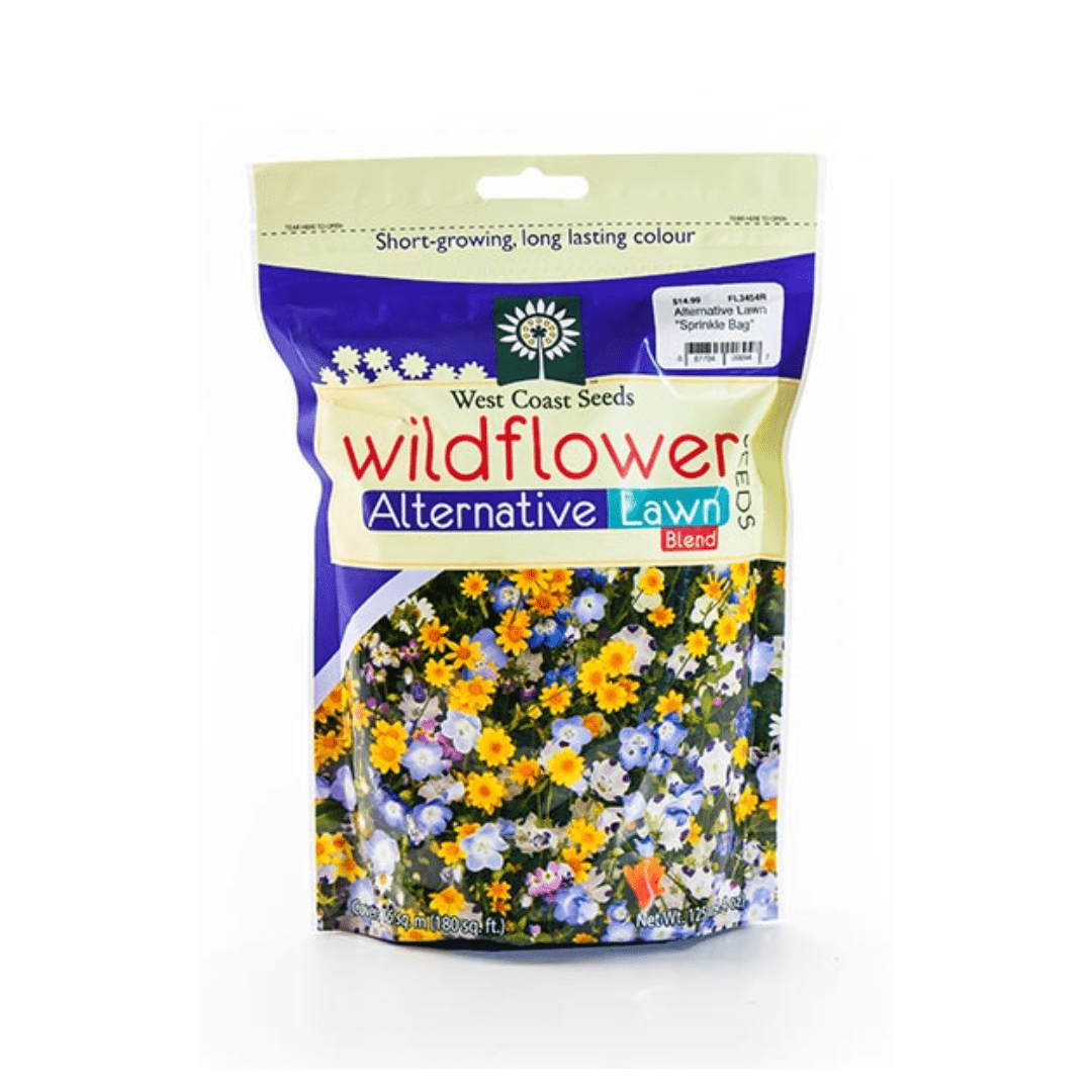 alternative lawn wildflower seed mix Wildflower Alternative Lawn Mix Seeds | West Coast Seeds
