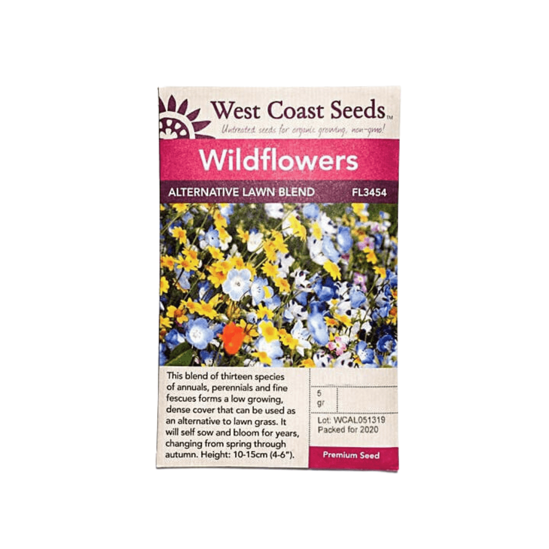alternative lawn wildflower seed mix Wildflower Alternative Lawn Mix Seeds | West Coast Seeds