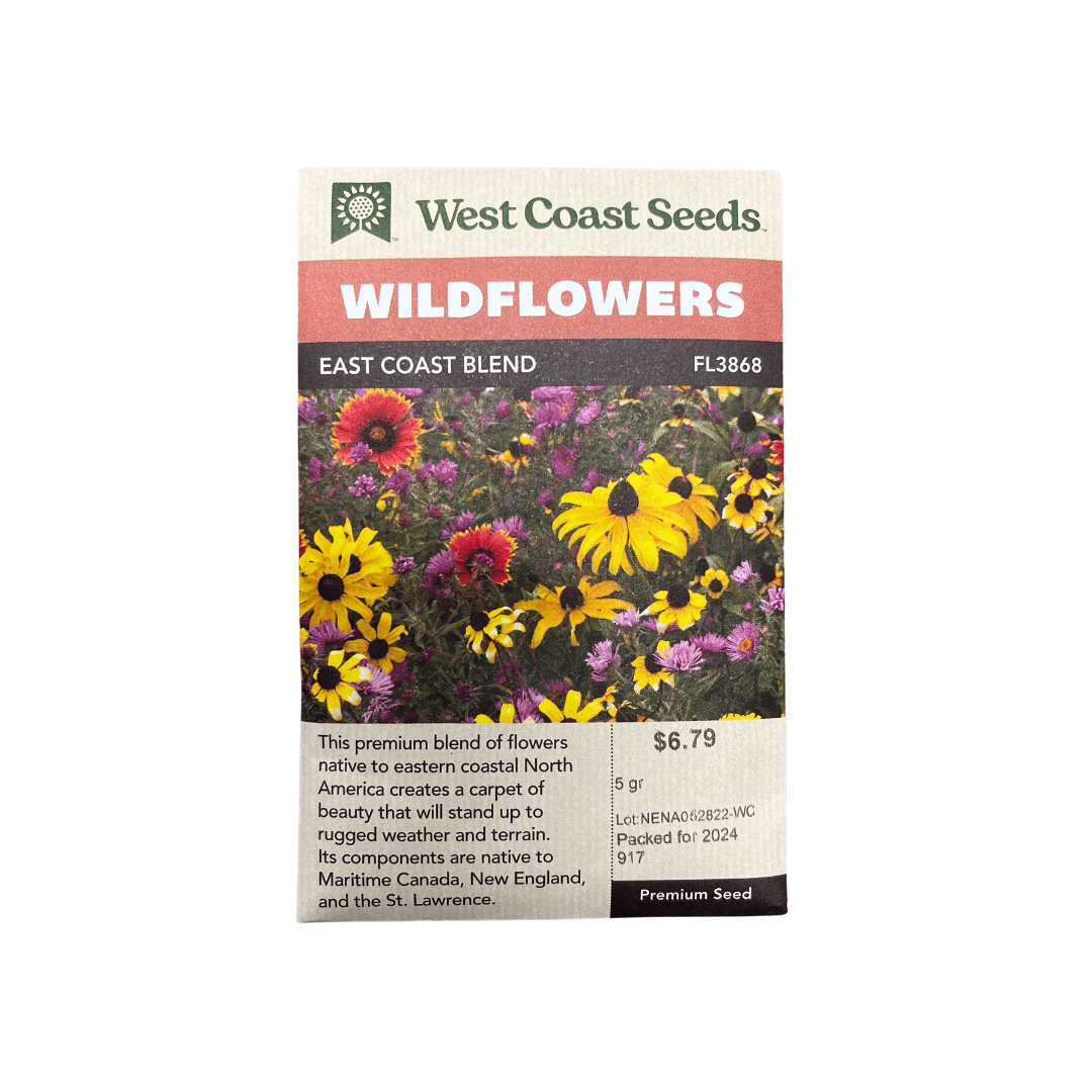 coastal wildflower seeds Wildflower East Coast Blend Seeds | West Coast Seeds