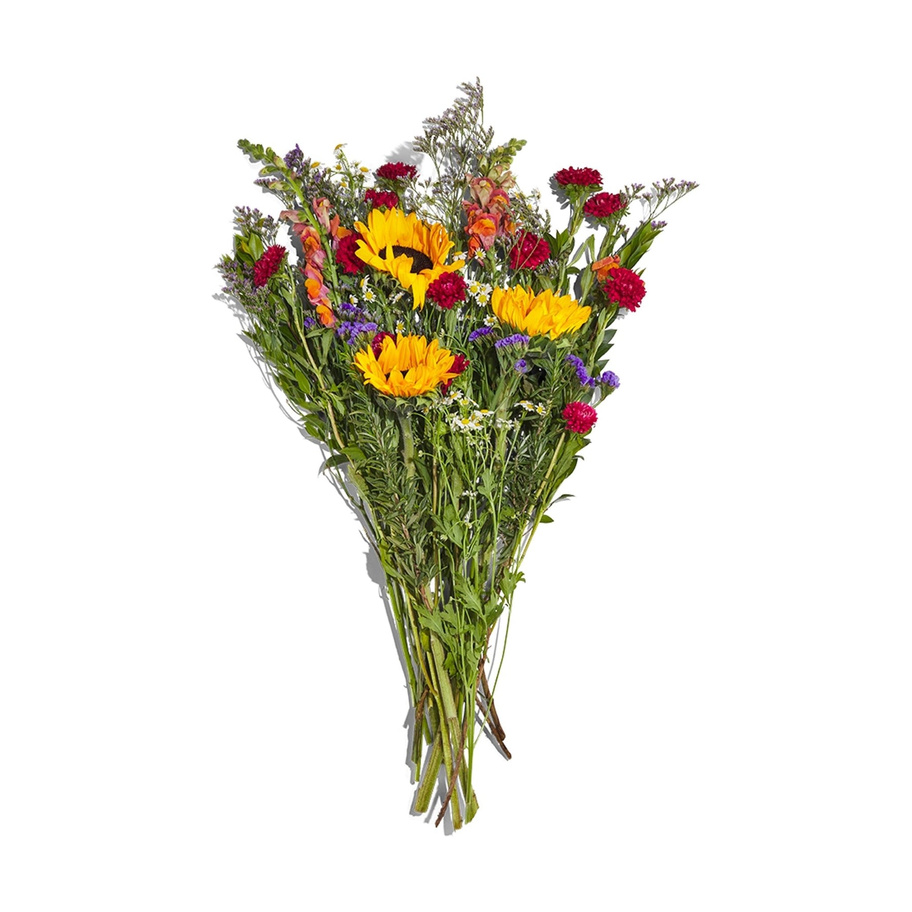 mckenzie wildflower seeds Wildflower Honeybee Mix Seeds | McKenzie Seeds