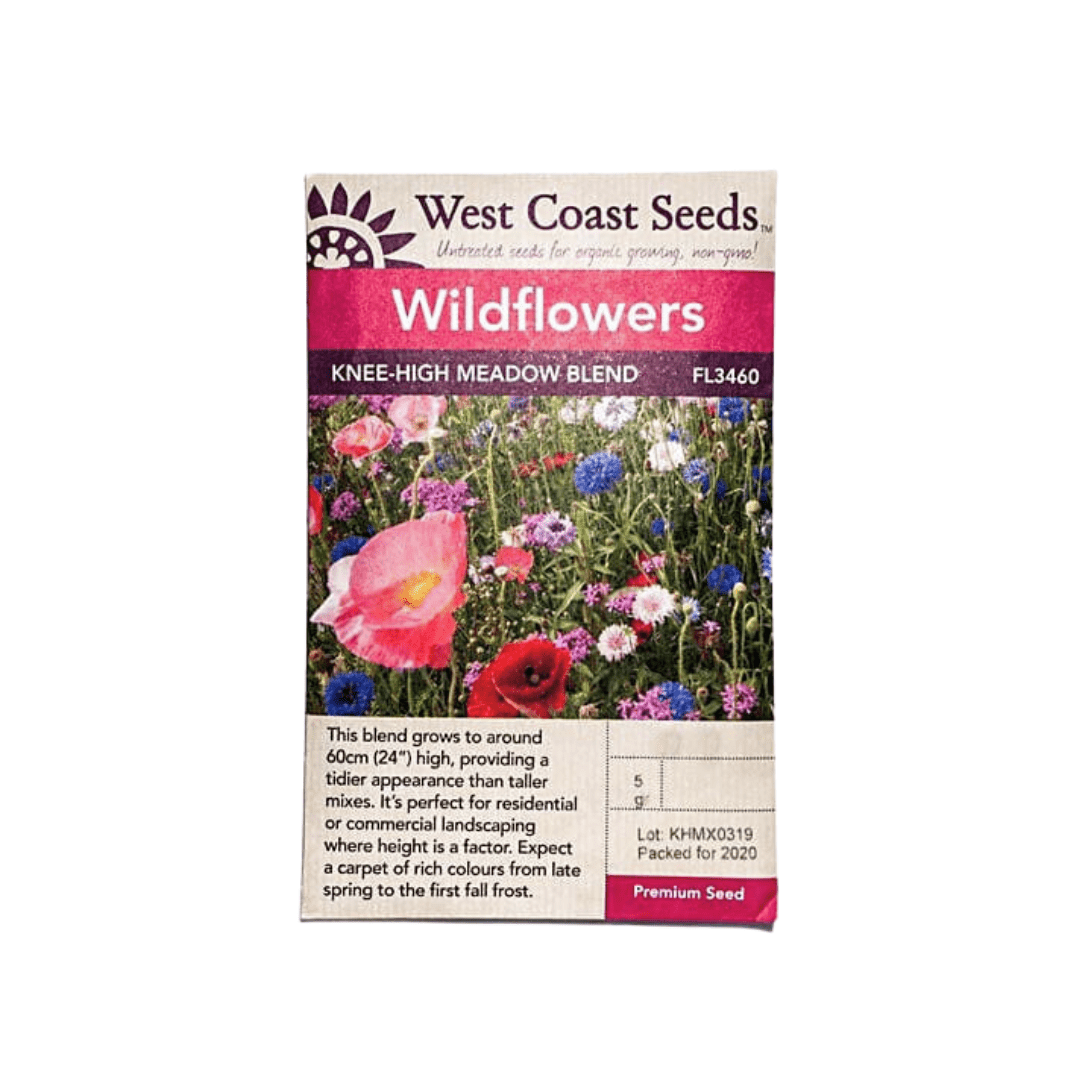 western australian wildflower seeds Wildflower Knee High Meadow Blend Seeds | West Coast Seeds