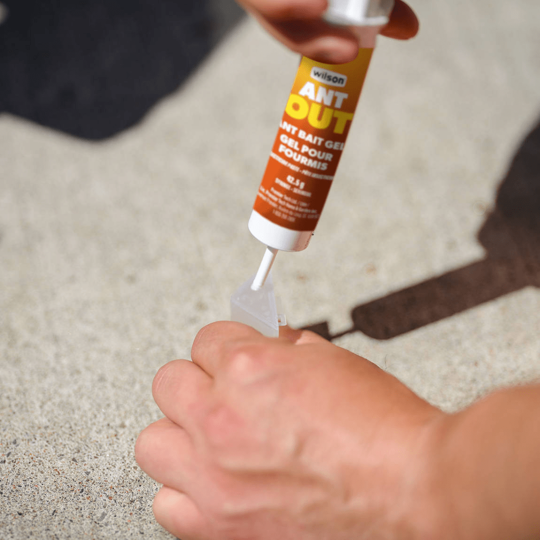Gel Ritchie Wilson® AntOut® Ant Bait Gel - Ritchie Feed & Seed Inc.