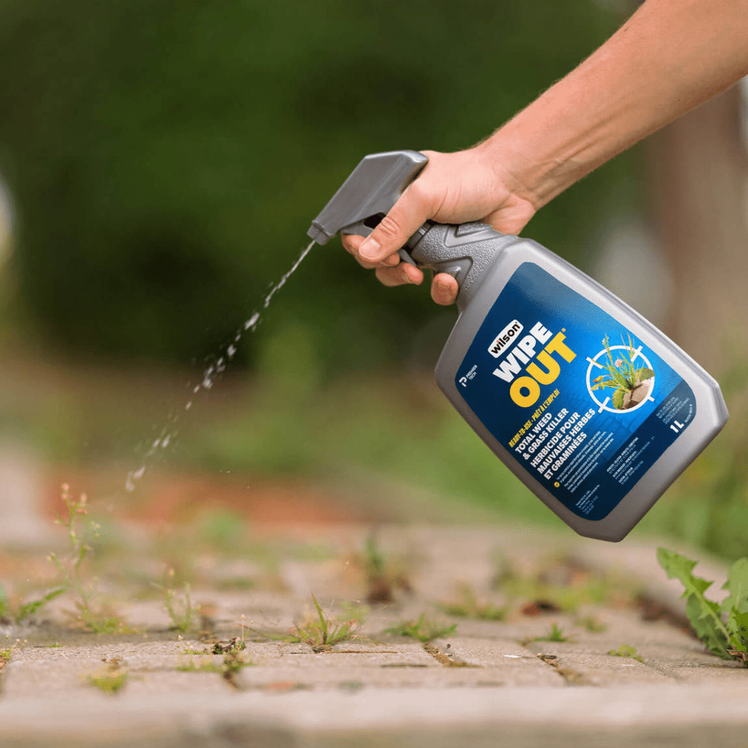 total wipeout herbicide Wilson® WIPE OUT® Total Weed & Grass Killer 1L