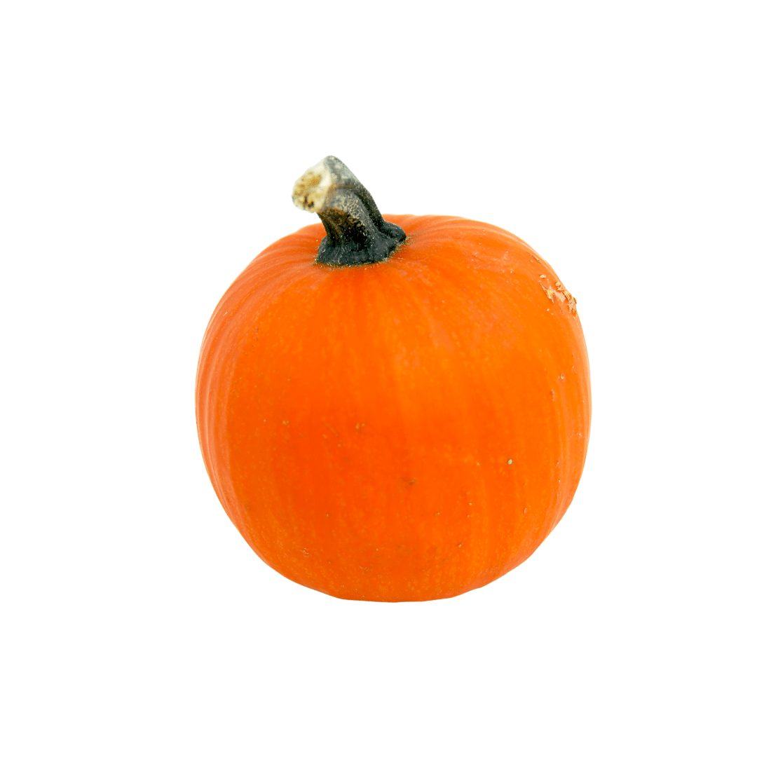 Winter Squash Winter Luxury Pie Pumpkin Seeds | Northern Seeds ...