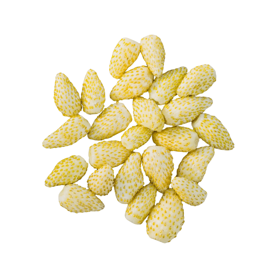 wild white strawberry seeds Strawberry Yellow Wonder Alpine Seeds | West Coast Seeds