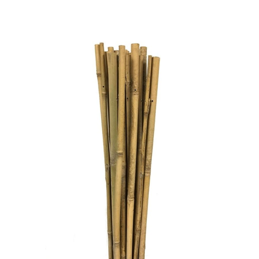 Bamboo Plant Support Sticks [6 sizes] - Ritchie Feed & Seed Inc.