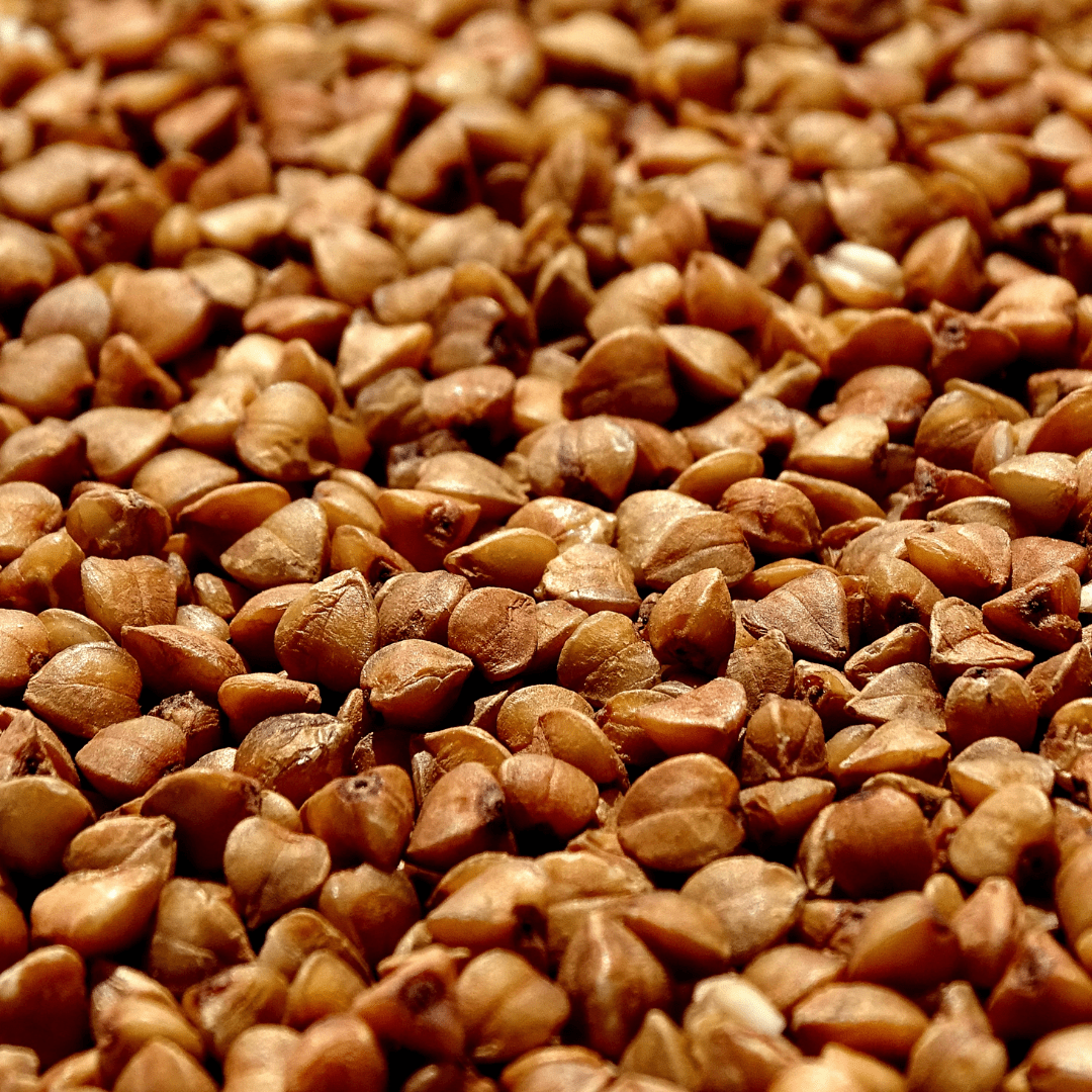 Buckwheat Seeds | West Coast Seeds