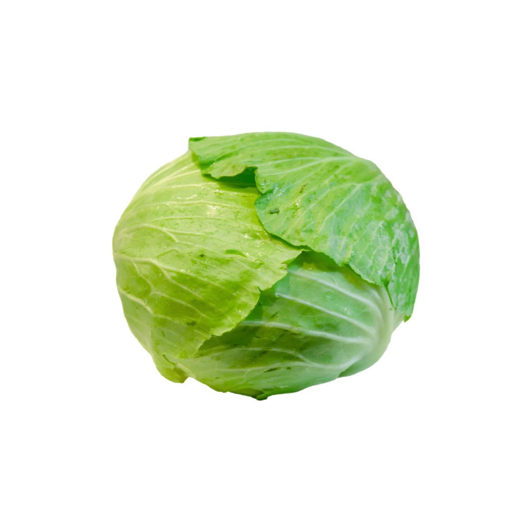 Cabbage Taiwan Cabbage Seeds West Coast Seeds Ritchie Feed & Seed Inc.