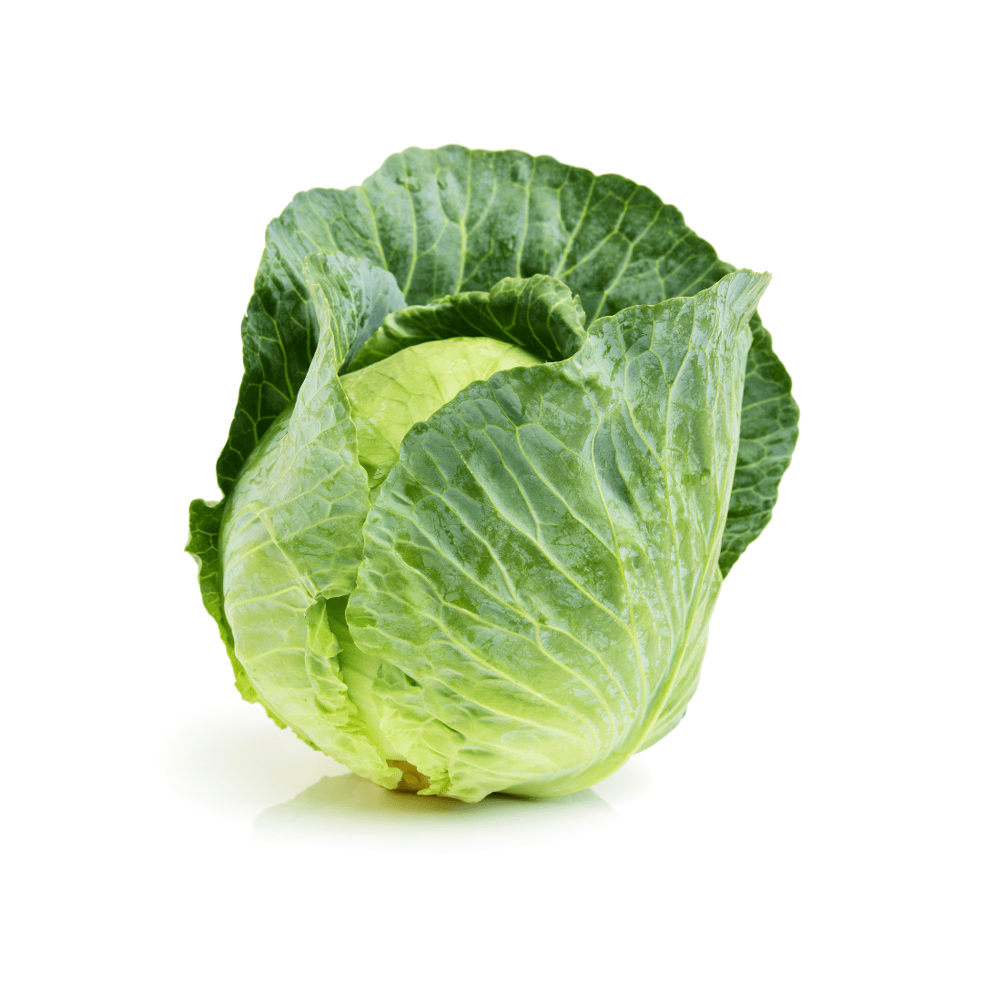 Cabbage Tiara F1 Organic Seeds | West Coast Seeds - Ritchie Feed