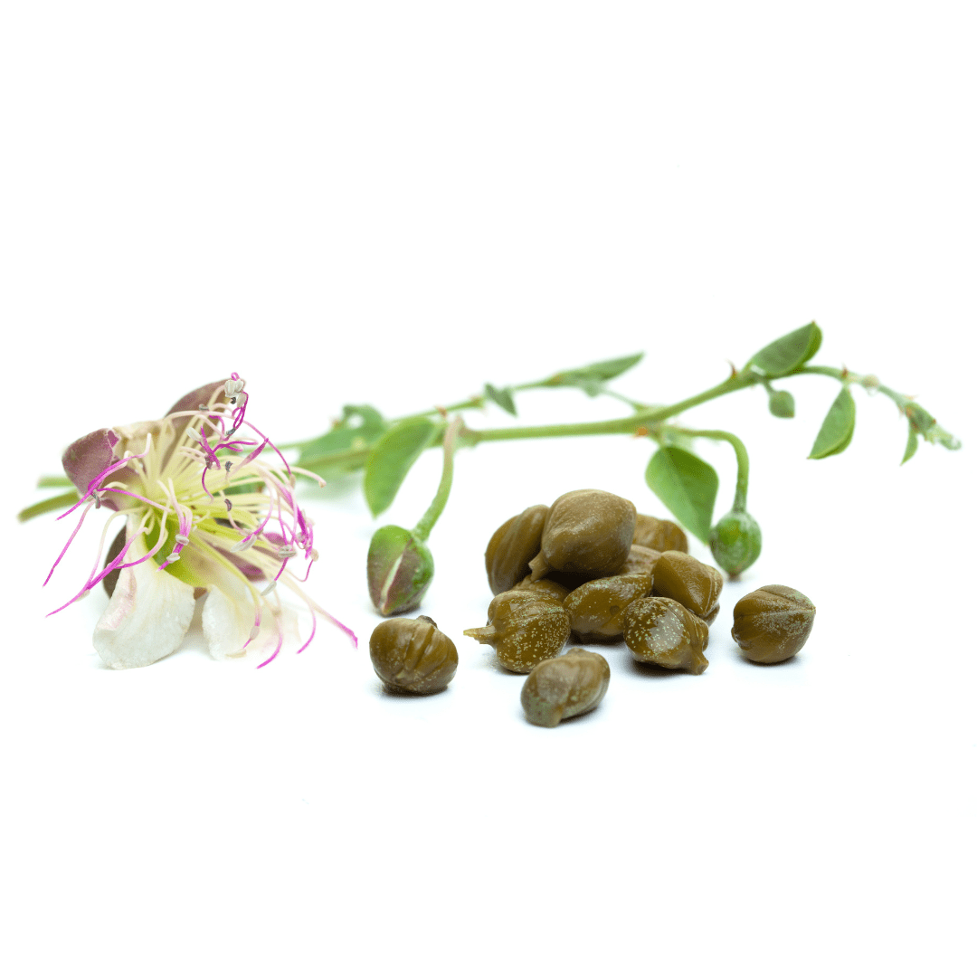 Caper Flower Herb Seeds | Weston Seeds - Ritchie Feed & Seed Inc.