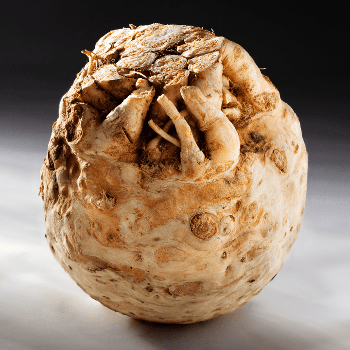 celeriac-celery-root-seeds-