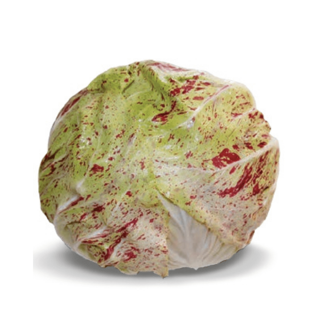 variegata di lusia Chicory Radicchio Variegata Di Lusia Seeds | Weston Seeds