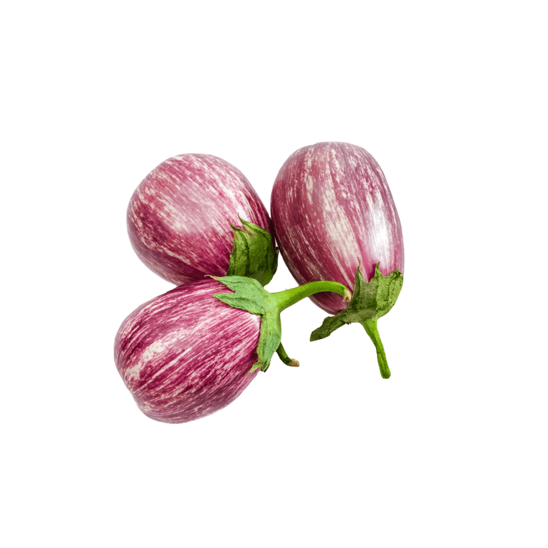 Eggplant Piccolo Certified Organic Seeds | West Coast Seeds