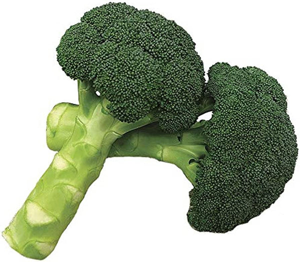 Broccoli Green Magic Hybrid Seeds | OSC Seeds - Ritchie Feed