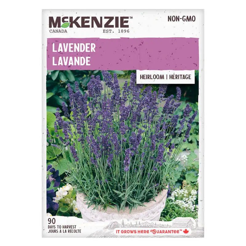 Herb Lavender Seeds | McKenzie Seeds