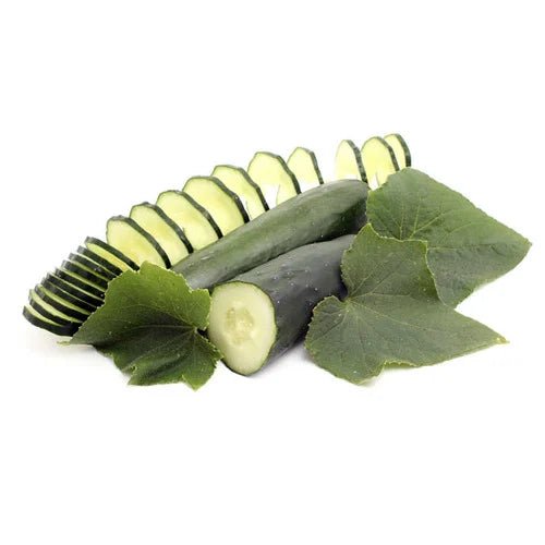 Cucumber Patio Snacker Hybrid Seeds OSC Seeds Ritchie Feed & Seed Inc.