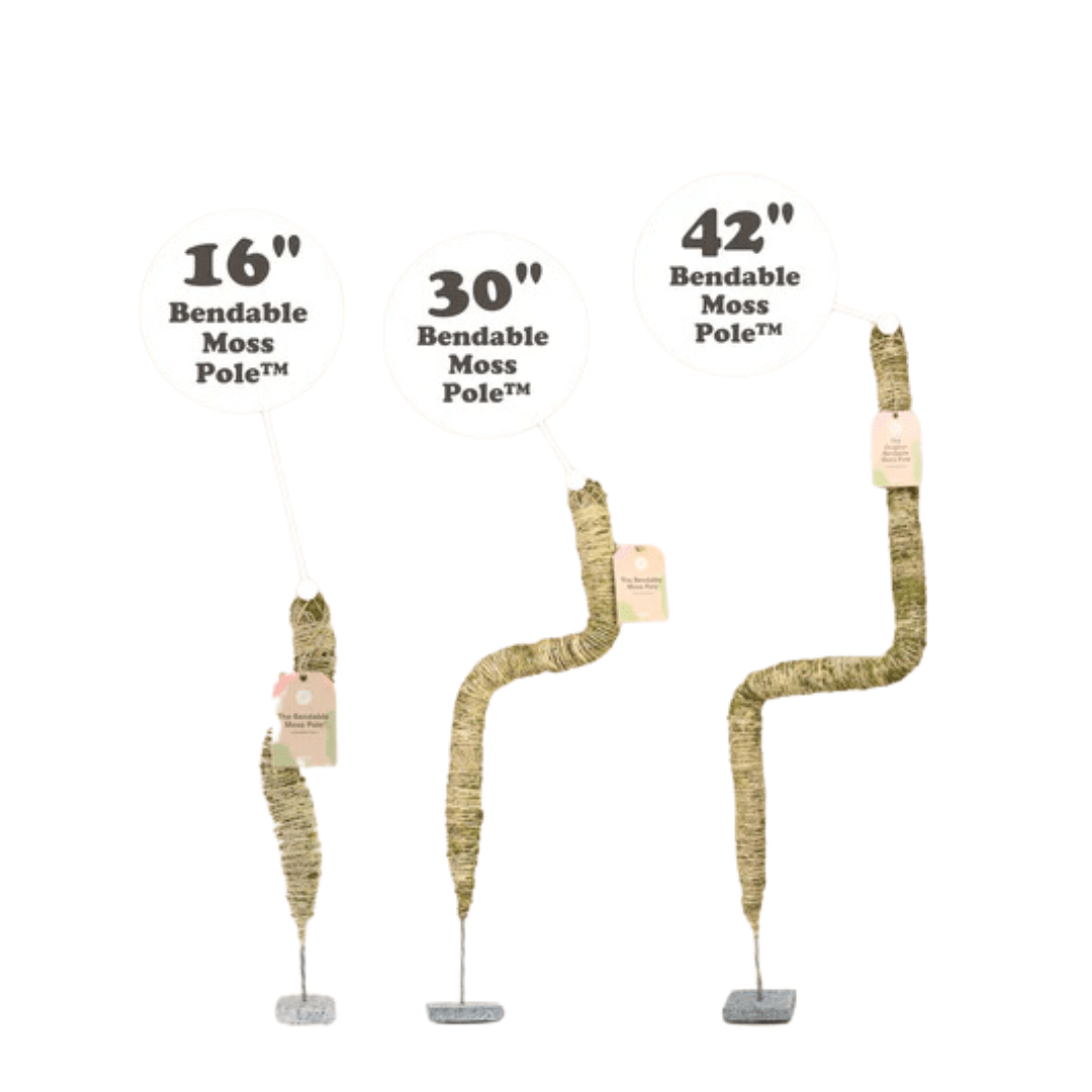 moss pole pins The Original Bendable Moss Pole™ (Pins included)