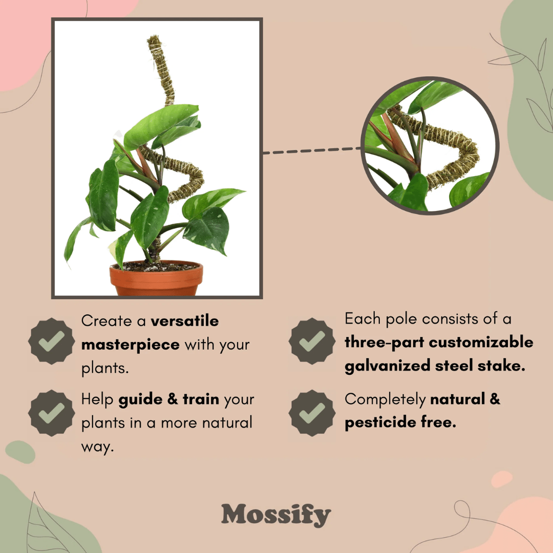 thickly moss pole The Original Bendable Moss Pole™ THIN