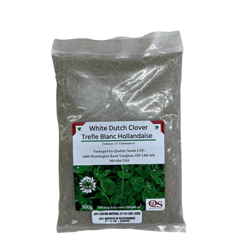 White Dutch Clover 500g